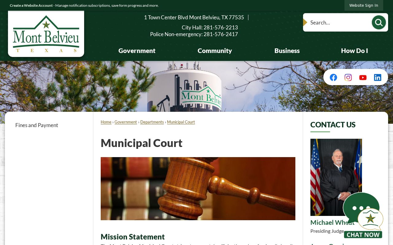 Chambers County municipal court warrant and FTA instructions